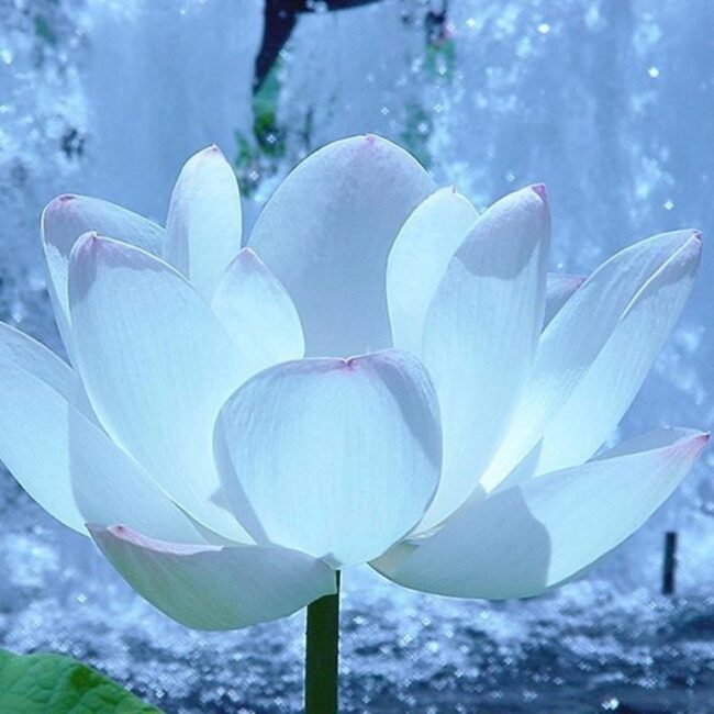 Hypnose : vos intentions positives