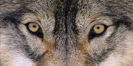 peur hypnose anne lauras